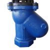 Ball Type Foot Valve 2"