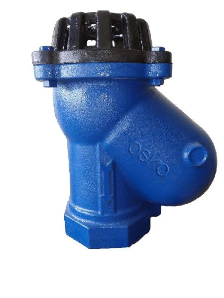Ball Type Foot Valve 2"