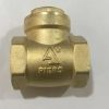Industrial G.M. Check Valve Hy 1/2"