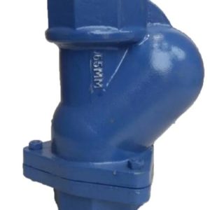 Ball Type Check Valve 4"