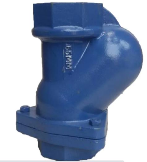 Ball Type Check Valve 21/2"