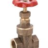 Ramco Gate Valve 21/2"