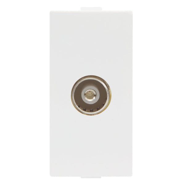 Elvira tv Socket-800132