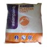 Asian Paints Trucare Plaster Coat White 40 Kg