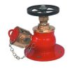Kartar Hydrant Gun Metal Valve 21/2"