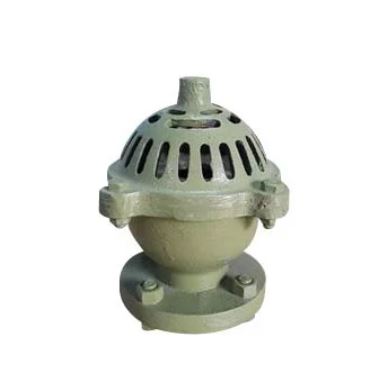 Dpf Foot Valve 2''