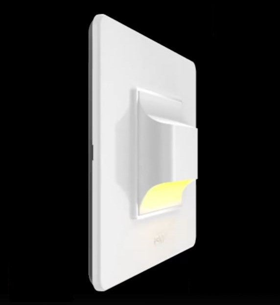 Gm Step Light 2Module