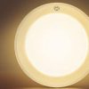 Pigeon Spot Light 3w-Red