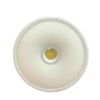 Gm Spot light Rangoli 6+3w-White with PINK