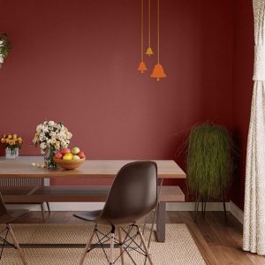 Asian Paints W.Fashion tool - Morning Raga