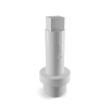 Finolex Upvc Circute End Plug 1/2"