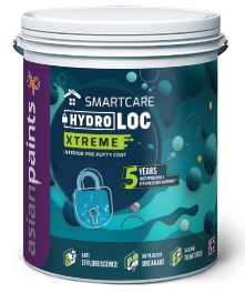 Asian Paints Smartcare Hydro Loc Pre-Putty Clear 4L
