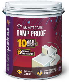 Asianpaints Smart care Damp Proof White 4 Ltrs