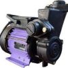 Cri 0.50hp MIKI50 25x25 2880rpm 1p-(18489)-625223