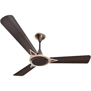 CG Celling Fan Avancer Prime Anti dust Cocoa Gold 1200mm