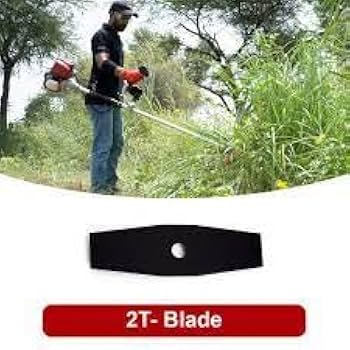 Brushcutter 2 Teeth Blade