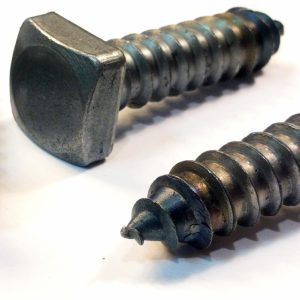 Coach Screw 5" x 10"